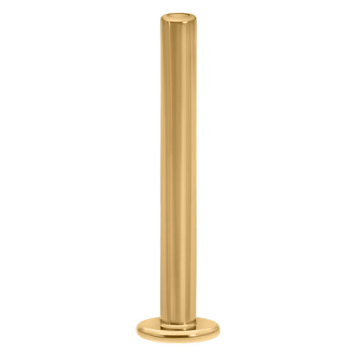 Goldenes Pushfit Labret, 7,0 mm lang, auf weißem Hintergrund