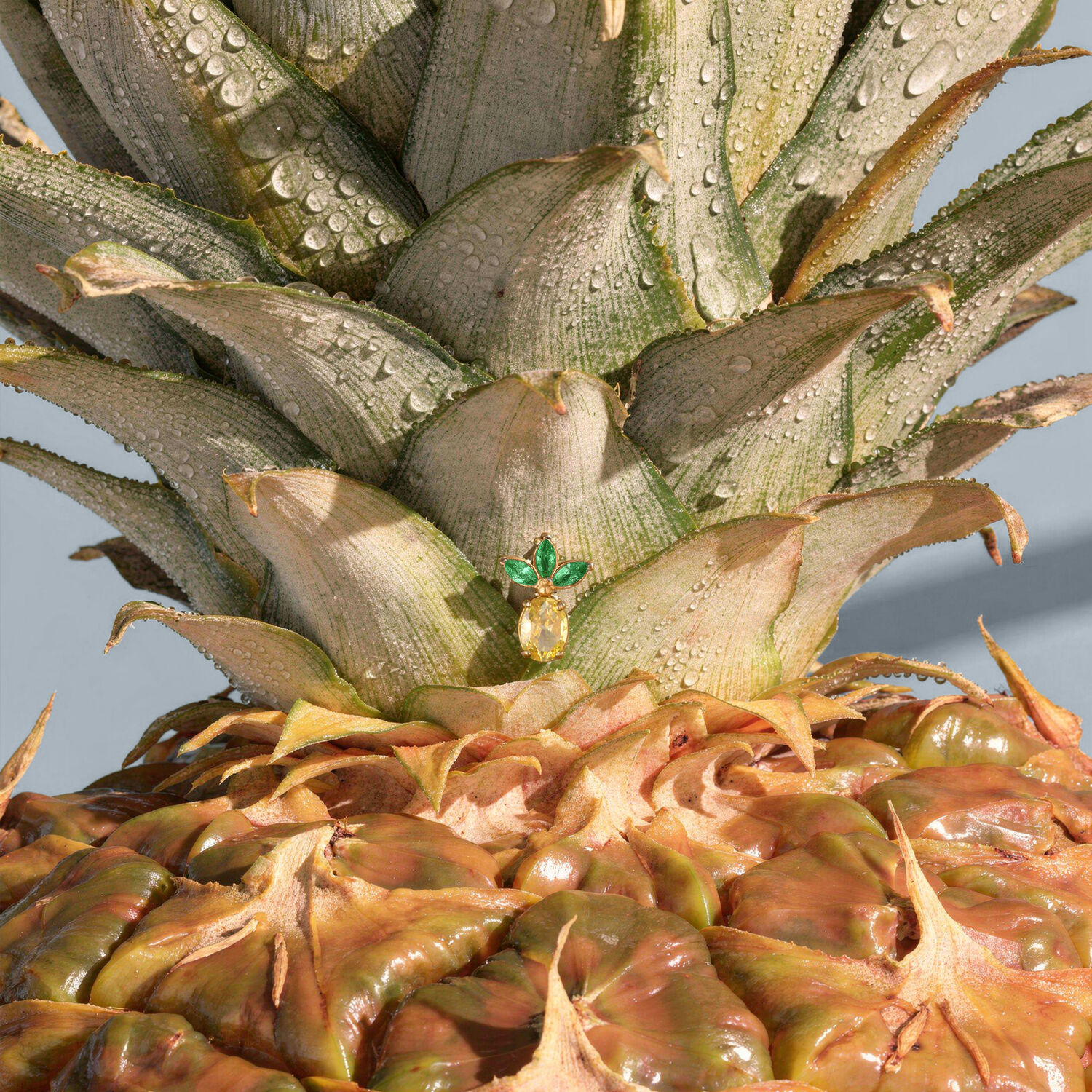 Nahaufnahme eines goldenen Piercingaufsatzes in Form einer Ananas mit grünen Blättern, platziert auf einer echten Ananas mit Wassertropfen