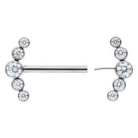 Silberne Penta Kristall Barbell 14 mm Silberne Barbell mit fünf klaren Kristallen auf weißem Hintergrund