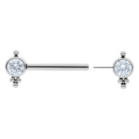 Silberner Titan Barbell mit Kristallen Silberner Barbell aus Titan mit zwei klaren Kristallen auf weißem Hintergrund.