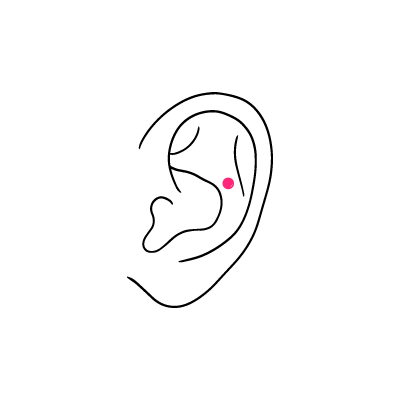 Minimalistische Zeichnung eines Ohres mit markiertem Contra-Conch-Piercing auf weißem Hintergrund