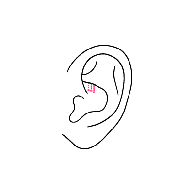 Ein lineares Diagramm eines Ohrs mit pinkfarbenem verstecktem Rook-Piercing auf weißem Hintergrund