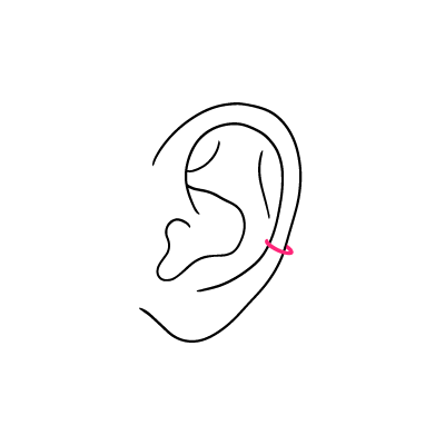 Schlichte Linienzeichnung eines Ohrs mit einem pinkfarbenen Mid-Helix Piercing