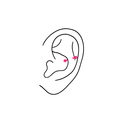 Ein einfaches Snug Piercing im Ohr auf weißem Hintergrund