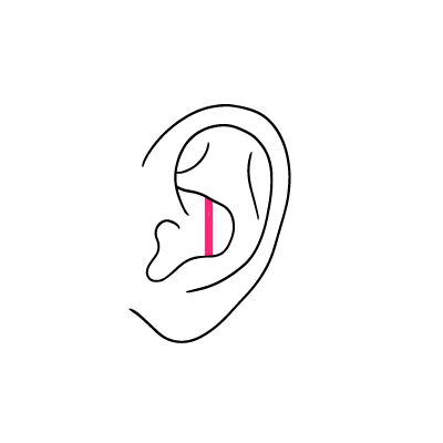 Illustration eines Ohres mit einem pinken Vertical Industrial Piercing auf weißem Hintergrund