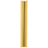 Goldenes Titan Piercing Stab Langer, goldener Titanstab auf weißem Hintergrund