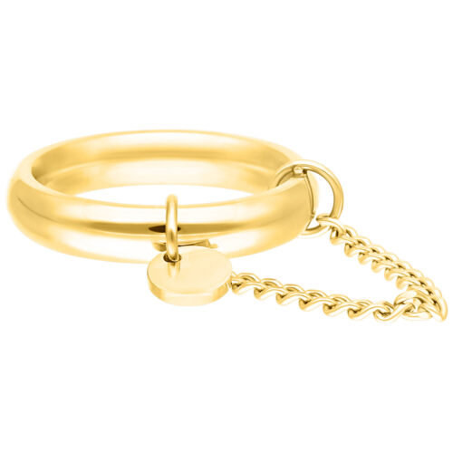 Goldener Ring mit Platte und Kette, Größe 18,0 mm, auf weißem Hintergrund