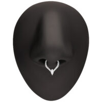 Silberner Kristall-Tropfen Septum Clicker Silberner Piercingring mit Kristall-Tropfen an schwarzer Nasenattrappe