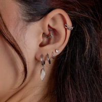 Nahaufnahme eines Ohres mit mehreren silbernen Piercings, darunter ein Olive Branch Clicker